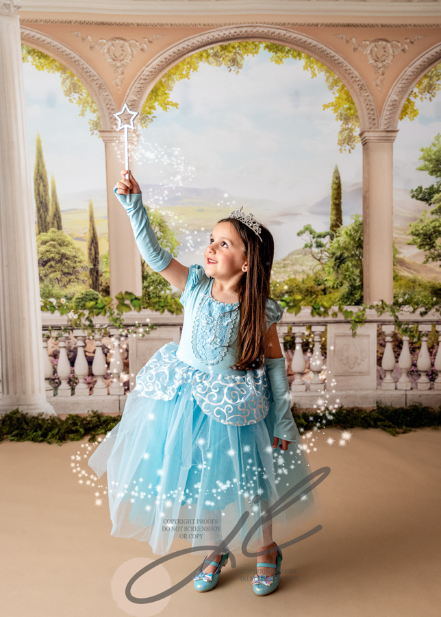 Disney Princess Mini Photography Session