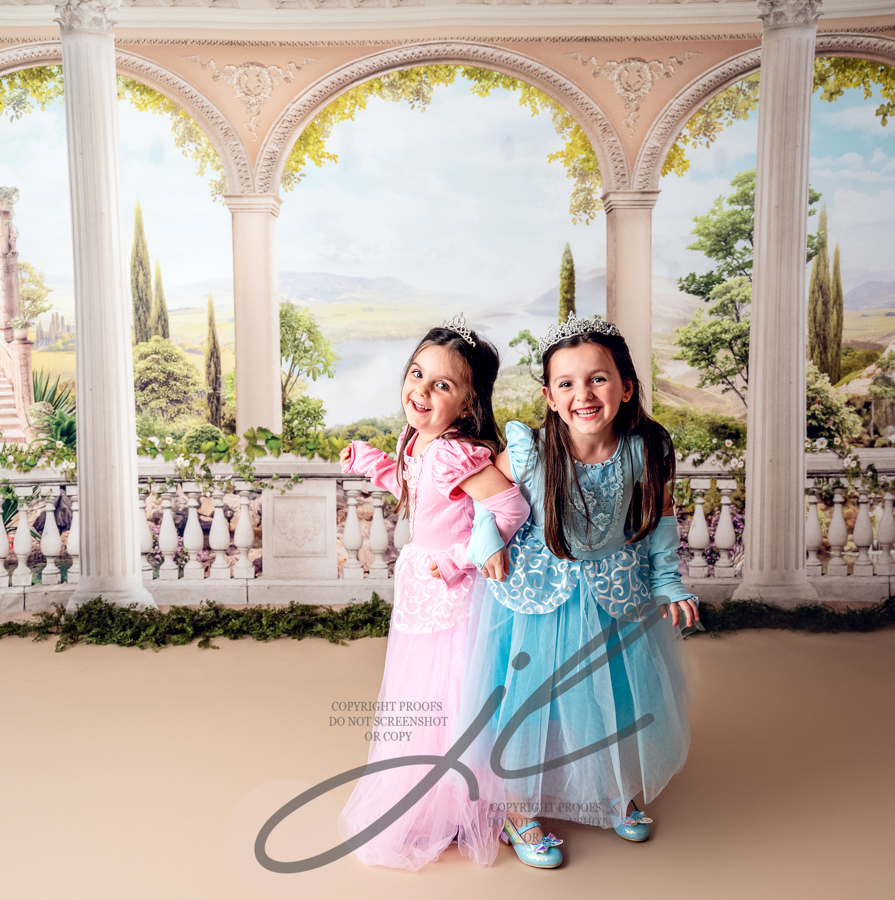 Disney Princess Mini Photography Session - 1